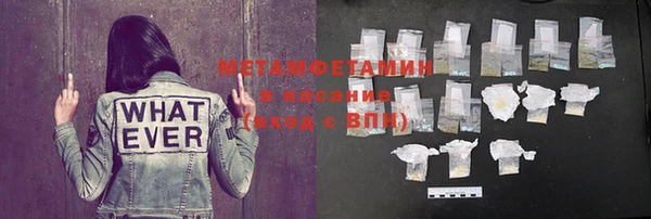 прущие грибы Балабаново