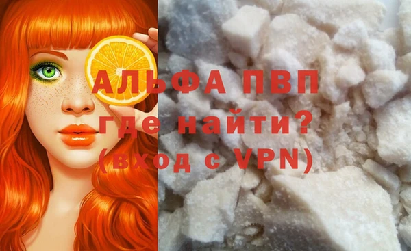a pvp Белокуриха