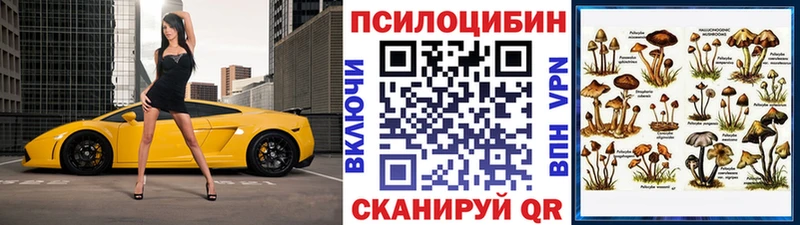 Псилоцибиновые грибы Psilocybe  Афипский 